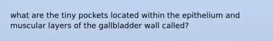 what are the tiny pockets located within the epithelium and muscular layers of the gallbladder wall called?