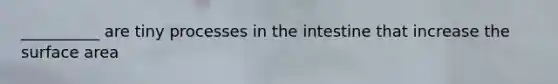 __________ are tiny processes in the intestine that increase the surface area