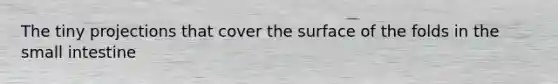 The tiny projections that cover the surface of the folds in the small intestine