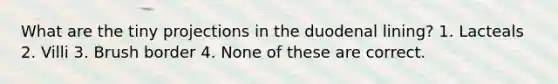 What are the tiny projections in the duodenal lining? 1. Lacteals 2. Villi 3. Brush border 4. None of these are correct.