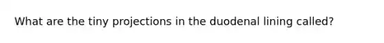 What are the tiny projections in the duodenal lining called?
