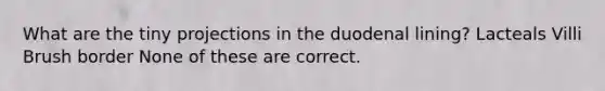 What are the tiny projections in the duodenal lining? Lacteals Villi Brush border None of these are correct.