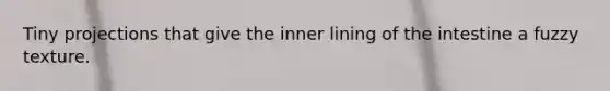 Tiny projections that give the inner lining of the intestine a fuzzy texture.