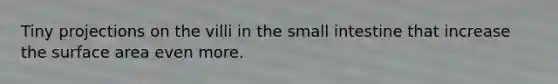 Tiny projections on the villi in the small intestine that increase the surface area even more.