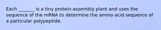 Each _______ is a tiny protein-assembly plant and uses the sequence of the mRNA to determine the amino acid sequence of a particular polypeptide.