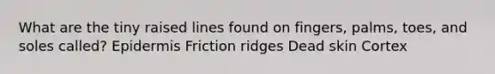 What are the tiny raised lines found on fingers, palms, toes, and soles called? Epidermis Friction ridges Dead skin Cortex