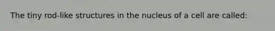 The tiny rod-like structures in the nucleus of a cell are called: