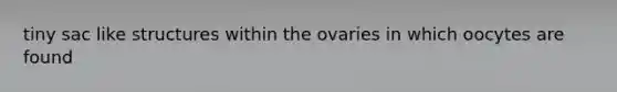 tiny sac like structures within the ovaries in which oocytes are found
