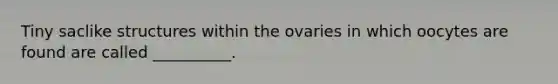 Tiny saclike structures within the ovaries in which oocytes are found are called __________.