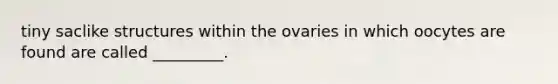 tiny saclike structures within the ovaries in which oocytes are found are called _________.