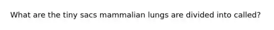 What are the tiny sacs mammalian lungs are divided into called?