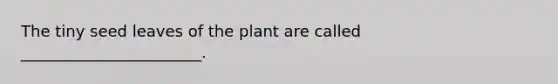 The tiny seed leaves of the plant are called _______________________.