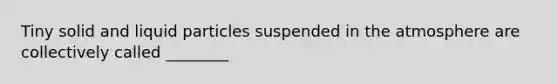 Tiny solid and liquid particles suspended in the atmosphere are collectively called ________