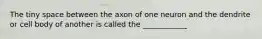 The tiny space between the axon of one neuron and the dendrite or cell body of another is called the ____________