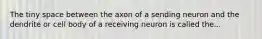 The tiny space between the axon of a sending neuron and the dendrite or cell body of a receiving neuron is called the...