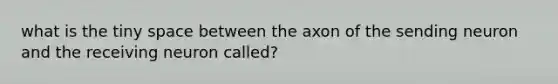 what is the tiny space between the axon of the sending neuron and the receiving neuron called?