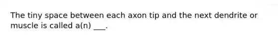 The tiny space between each axon tip and the next dendrite or muscle is called a(n) ___.