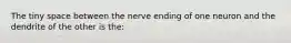 The tiny space between the nerve ending of one neuron and the dendrite of the other is the: