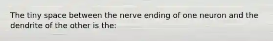 The tiny space between the nerve ending of one neuron and the dendrite of the other is the: