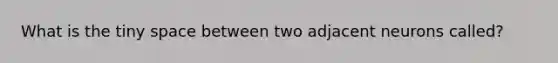 What is the tiny space between two adjacent neurons called?