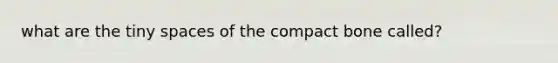 what are the tiny spaces of the compact bone called?