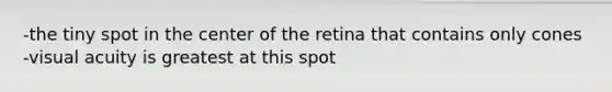 -the tiny spot in the center of the retina that contains only cones -visual acuity is greatest at this spot