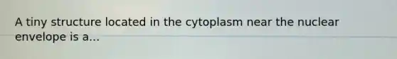 A tiny structure located in the cytoplasm near the nuclear envelope is a...