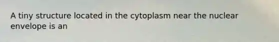 A tiny structure located in the cytoplasm near the nuclear envelope is an