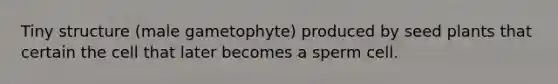 Tiny structure (male gametophyte) produced by seed plants that certain the cell that later becomes a sperm cell.