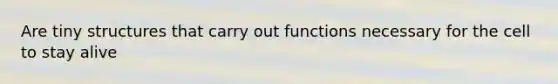 Are tiny structures that carry out functions necessary for the cell to stay alive