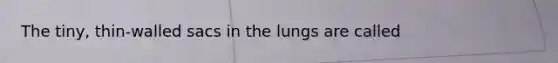 The tiny, thin-walled sacs in the lungs are called