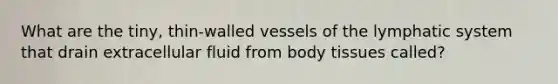 What are the tiny, thin-walled vessels of the lymphatic system that drain extracellular fluid from body tissues called?