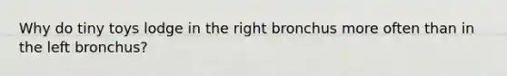 Why do tiny toys lodge in the right bronchus more often than in the left bronchus?