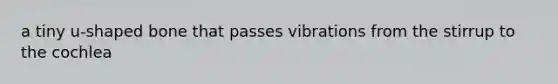 a tiny u-shaped bone that passes vibrations from the stirrup to the cochlea