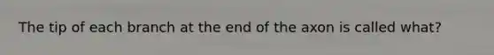The tip of each branch at the end of the axon is called what?