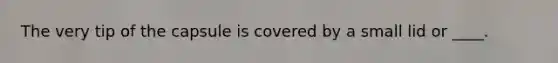 The very tip of the capsule is covered by a small lid or ____.
