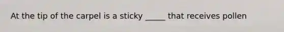 At the tip of the carpel is a sticky _____ that receives pollen