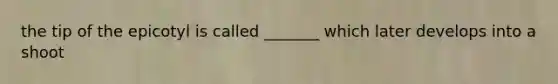 the tip of the epicotyl is called _______ which later develops into a shoot