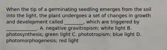 When the tip of a germinating seedling emerges from the soil into the light, the plant undergoes a set of changes in growth and development called ________, which are triggered by _____________. A. negative gravitropism; white light B. photosynthesis; green light C. phototropism; blue light D. photomorphogenesis; red light