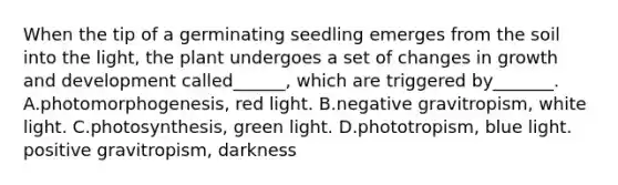 When the tip of a germinating seedling emerges from the soil into the light, the plant undergoes a set of changes in <a href='https://www.questionai.com/knowledge/kde2iCObwW-growth-and-development' class='anchor-knowledge'>growth and development</a> called______, which are triggered by_______. A.photomorphogenesis, red light. B.negative gravitropism, white light. C.photosynthesis, green light. D.phototropism, blue light. positive gravitropism, darkness