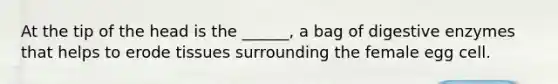 At the tip of the head is the ______, a bag of <a href='https://www.questionai.com/knowledge/kK14poSlmL-digestive-enzymes' class='anchor-knowledge'>digestive enzymes</a> that helps to erode tissues surrounding the female egg cell.