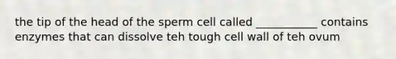 the tip of the head of the sperm cell called ___________ contains enzymes that can dissolve teh tough cell wall of teh ovum