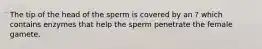 The tip of the head of the sperm is covered by an ? which contains enzymes that help the sperm penetrate the female gamete.