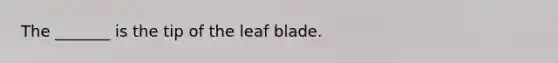 The _______ is the tip of the leaf blade.