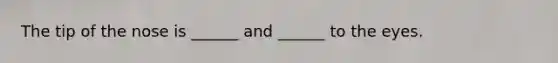 The tip of the nose is ______ and ______ to the eyes.
