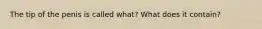The tip of the penis is called what? What does it contain?