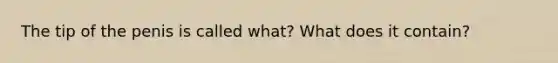 The tip of the penis is called what? What does it contain?