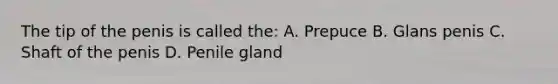 The tip of the penis is called the: A. Prepuce B. Glans penis C. Shaft of the penis D. Penile gland