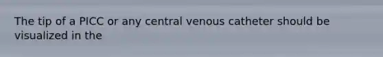 The tip of a PICC or any central venous catheter should be visualized in the