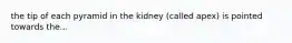 the tip of each pyramid in the kidney (called apex) is pointed towards the...